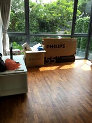 Palm Isles (D17), Condominium #510360351